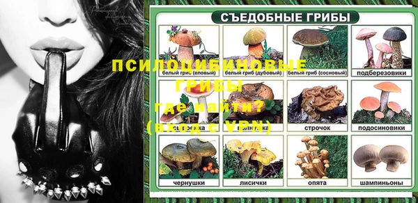 стафф Карталы