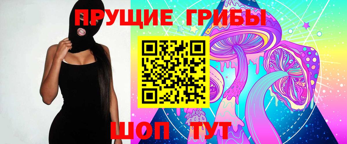 Псилоцибиновые грибы Psilocybe Красноперекопск